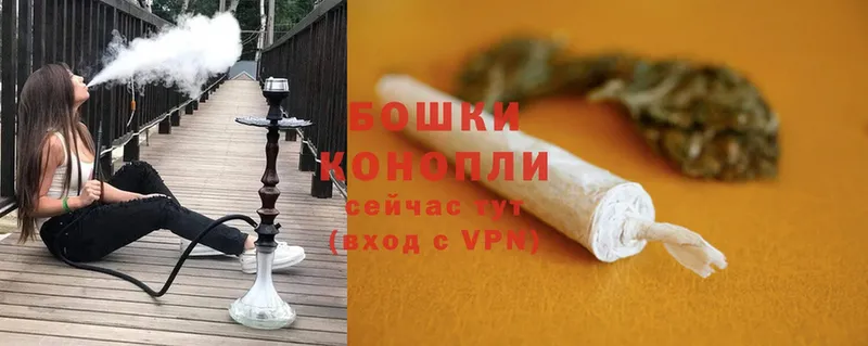 Наркотические вещества Каменногорск Конопля  Cocaine  Галлюциногенные грибы  Мефедрон  АМФЕТАМИН 