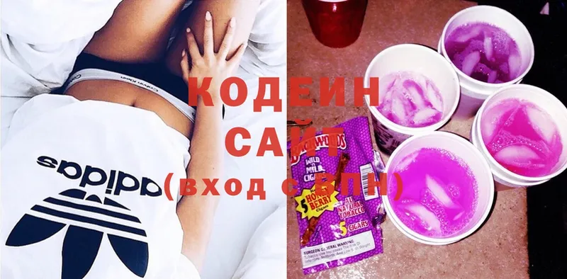 Кодеин Purple Drank  где можно купить наркотик  Каменногорск 